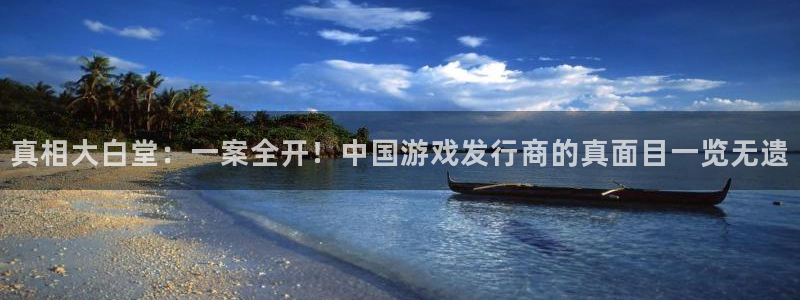 bg大游是哪个国家的衣服品牌：真相大白堂：一案全开！中国游戏发行商的真面目一览无遗