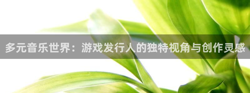 bg大游gs：多元音乐世界：游戏发行人的独特视角与创作灵感