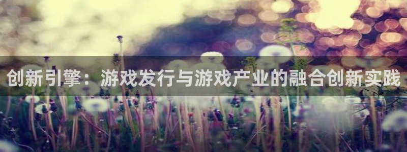 bg大游技术有限公司怎么样：创新引擎：游戏发行与游戏产业的融合创新实践