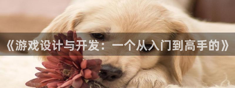 bg大游男装品牌：《游戏设计与开发：一个从入门到高手的》