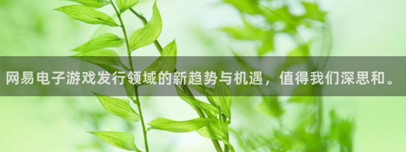 bg大游电子商务怎么样：网易电子游戏发行领域的新趋势与机遇，值得我们深思和。