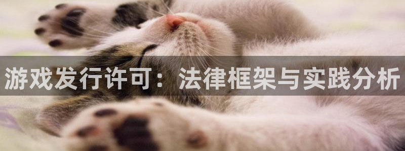 bg大游技术有限公司招聘：游戏发行许可：法律框架与实践分析