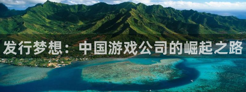 bg大游子经理人一共出了多少本：发行梦想：中国游戏公司的崛起之路