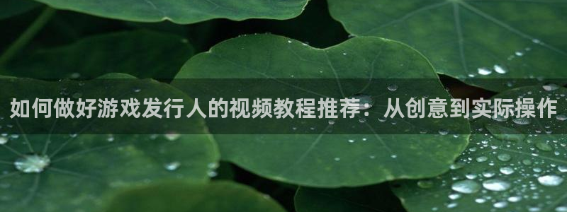 bg大游子赚话费：如何做好游戏发行人的视频教程推荐：从创意到实际操作
