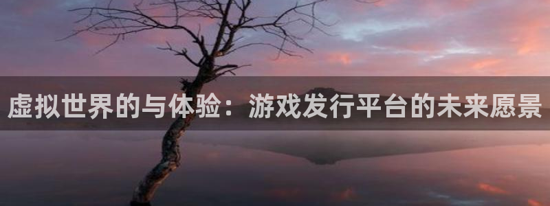bg大游官网平台代理条件是什么