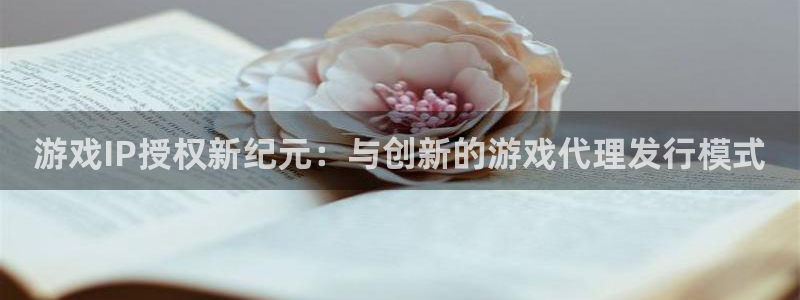 bg大游子文化是干什么的