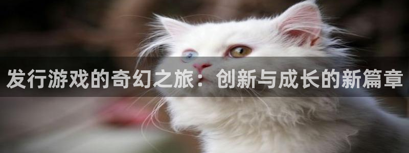 bg大游官网分分彩