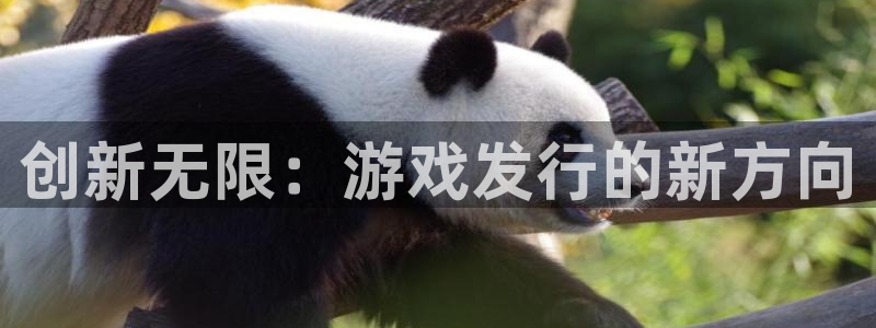bg大游电子商务有限公司怎么样知乎：创新无限：游戏发行的新方向